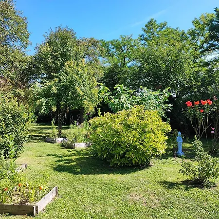 Le Repos D'osiris A - #alsace Baldenheim