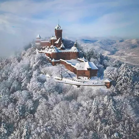 Le Repos D'osiris à - #alsace Apartamento *