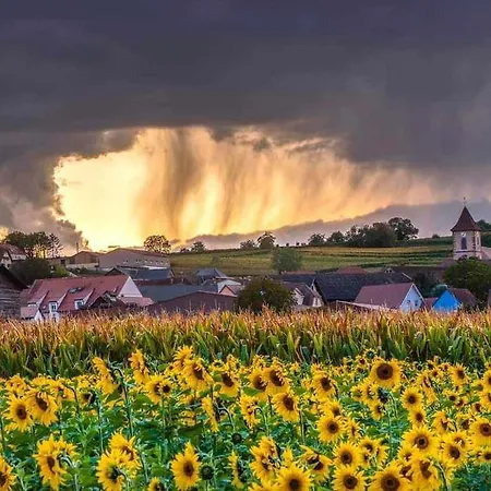 Le Repos D'osiris à - #alsace *