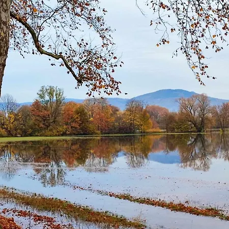 Le Repos D'osiris A - #alsace Apartman *