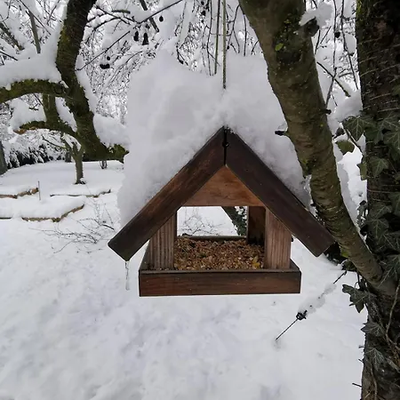 Apartamento Le Repos D'osiris à - #alsace