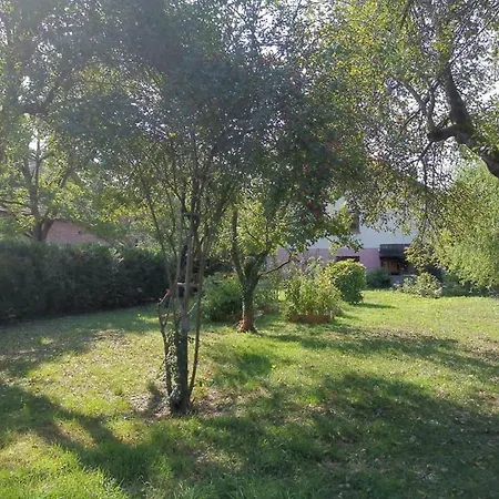 Le Repos D'osiris à - #alsace Apartamento