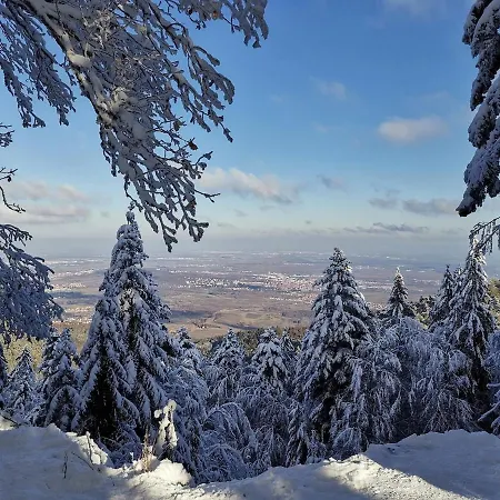 Apartman Le Repos D'osiris A - #alsace