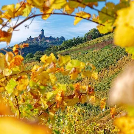 Le Repos D'osiris A - #alsace Apartman *