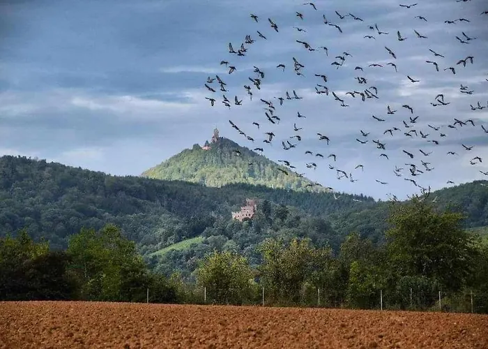 Appartement Le Repos D'osiris A - #alsace Baldenheim