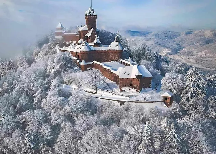 Le Repos D'osiris A - #alsace Appartement *