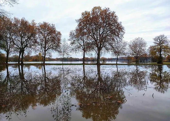 Appartement Le Repos D'osiris A - #alsace *