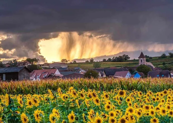 Le Repos D'osiris A - #alsace *