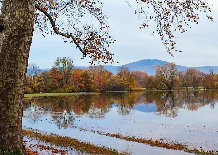 Le Repos D'osiris A - #alsace Appartement *