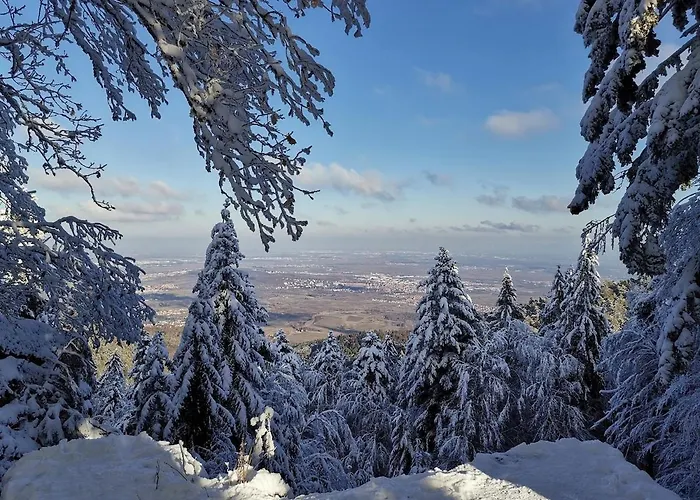 Appartement Le Repos D'osiris A - #alsace