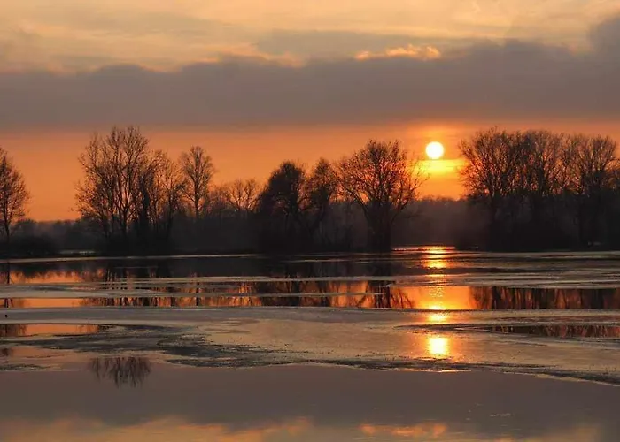 Appartement Le Repos D'osiris A - #alsace *