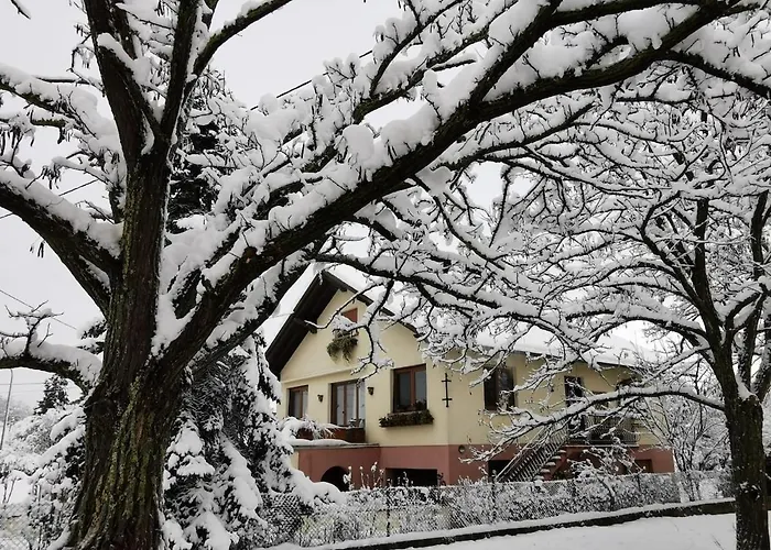 Le Repos D'osiris A - #alsace Appartement