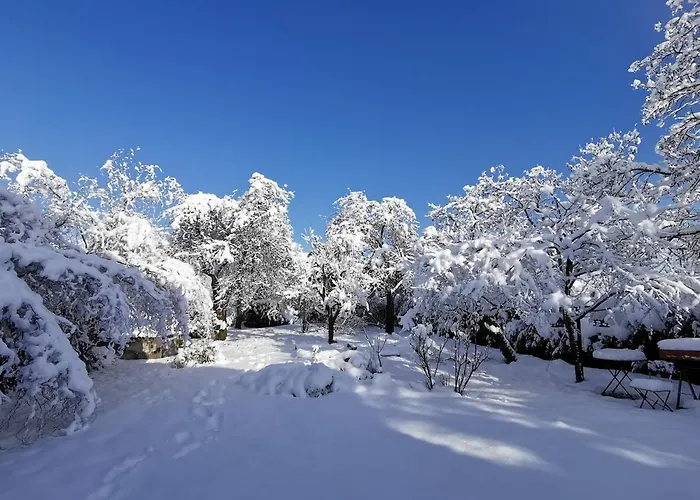 Appartement Le Repos D'osiris A - #alsace
