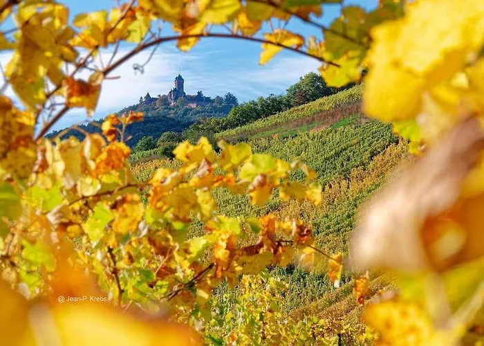 Le Repos D'osiris A - #alsace Appartement *