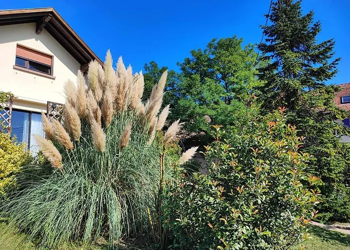 Le Repos D'osiris A - #alsace Appartement