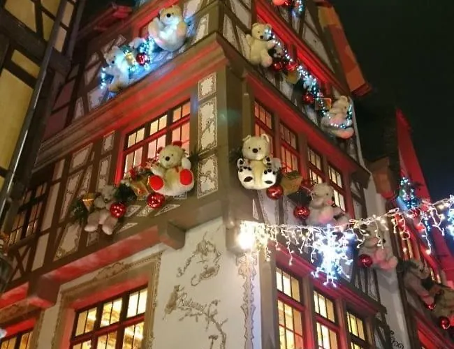 Le Repos D'osiris A - #alsace Appartement *