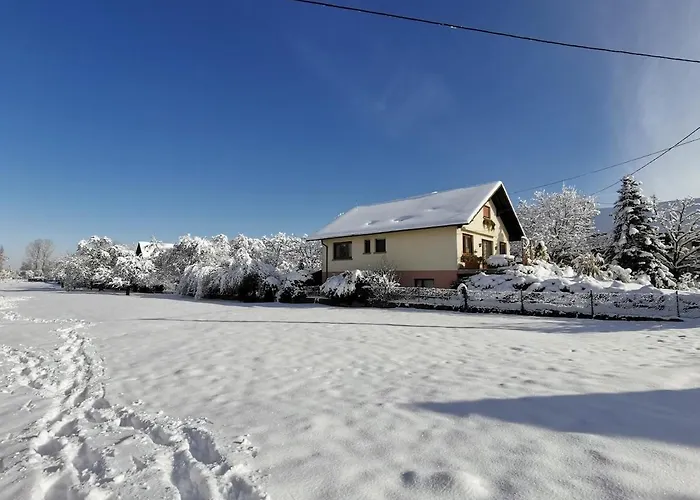 Appartement Le Repos D'osiris A - #alsace *